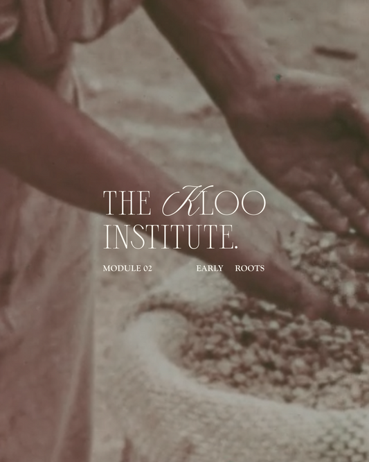 The Kloo Institute Module 02: Early Roots