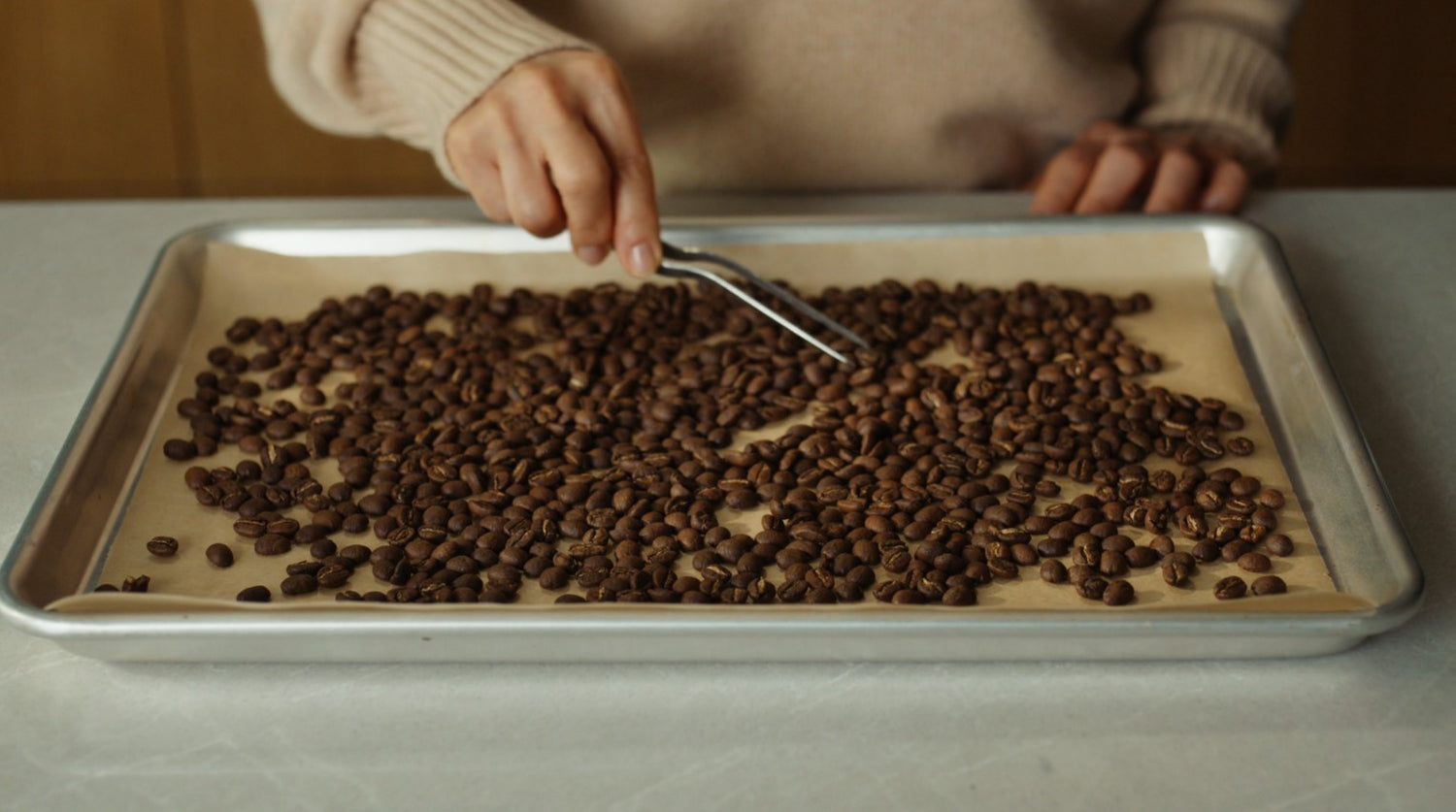 Mariella sifting through beans